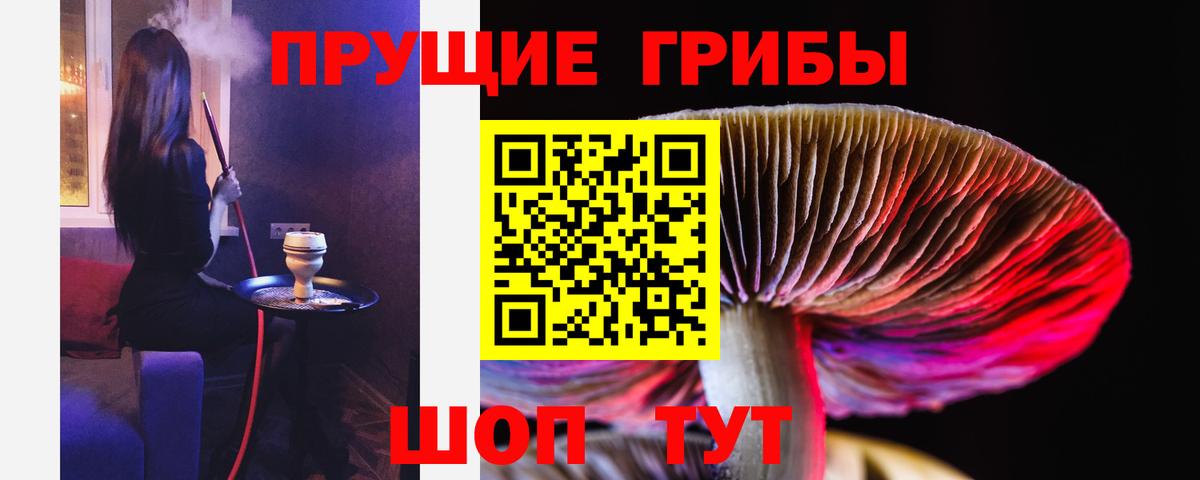 Сухой Лог  Галлюциногенные грибы ЛСД  купить   Вход с VPN 